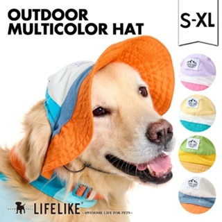 【你和我的狗】 4色 日本LIFELIKE 寵物帽子 【現貨】 寵物遮陽帽 貓咪帽子 狗狗帽子 寵物漁夫帽 狗帽子