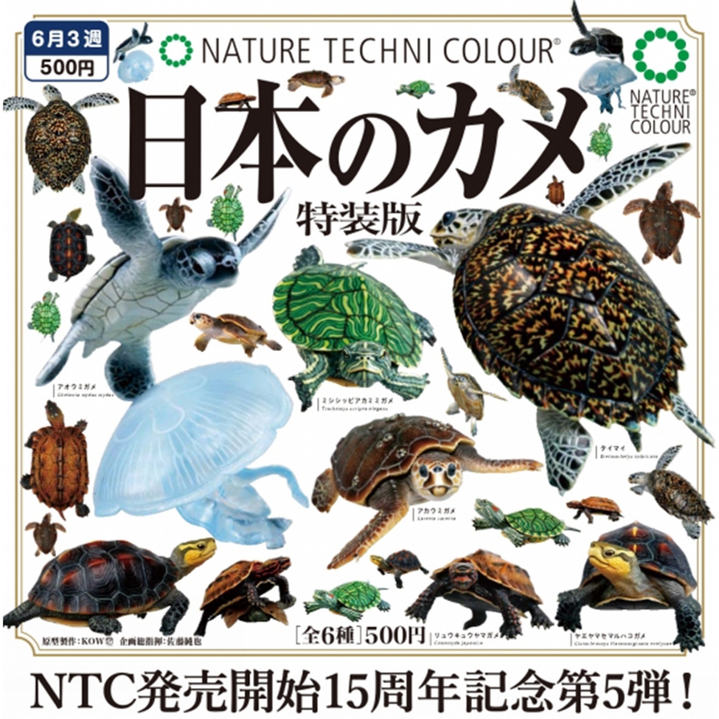 【盧卡斯偷椅子】6月預購 正版 IKIMON NTC圖鑑 日本烏龜 特裝版 海龜 陸龜 扭蛋 轉蛋