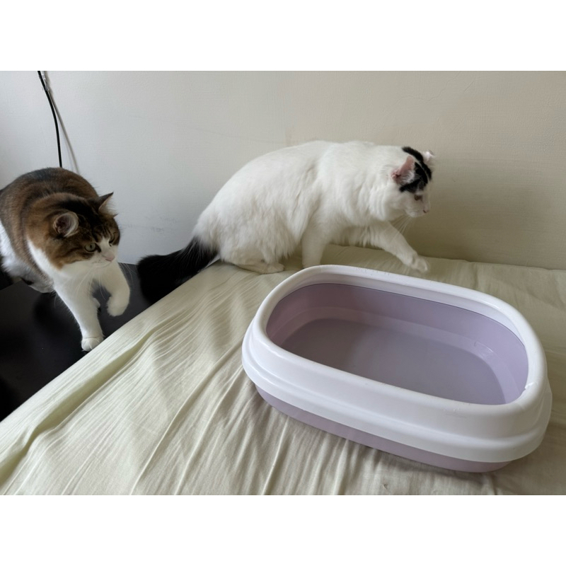 ［二手好物] 紫灰色半封閉式貓砂盆-6個月以下貓咪適用