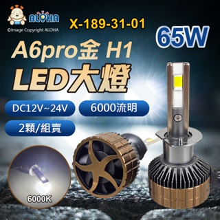 阿囉哈LED總匯_X-189-31-01_H1-DC12V~24V-65W（6000流明）×2顆-6000K-LED大燈