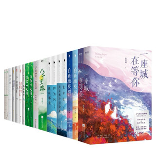 《一座城，在等你 / 白色橄欖樹 /你如北京美麗 /少年的你，如此美麗 /小南風》~玖月晞~全新簡體書
