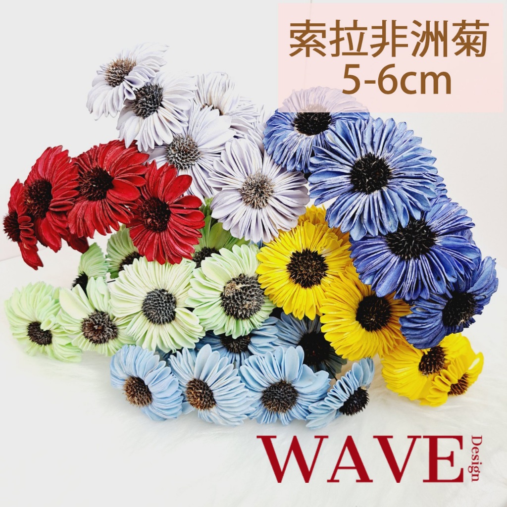 《WAVE Design 》索拉花向日葵 向日葵 太陽花 乾燥花 太陽玫瑰 花材 太陽花 永生花 不凋花