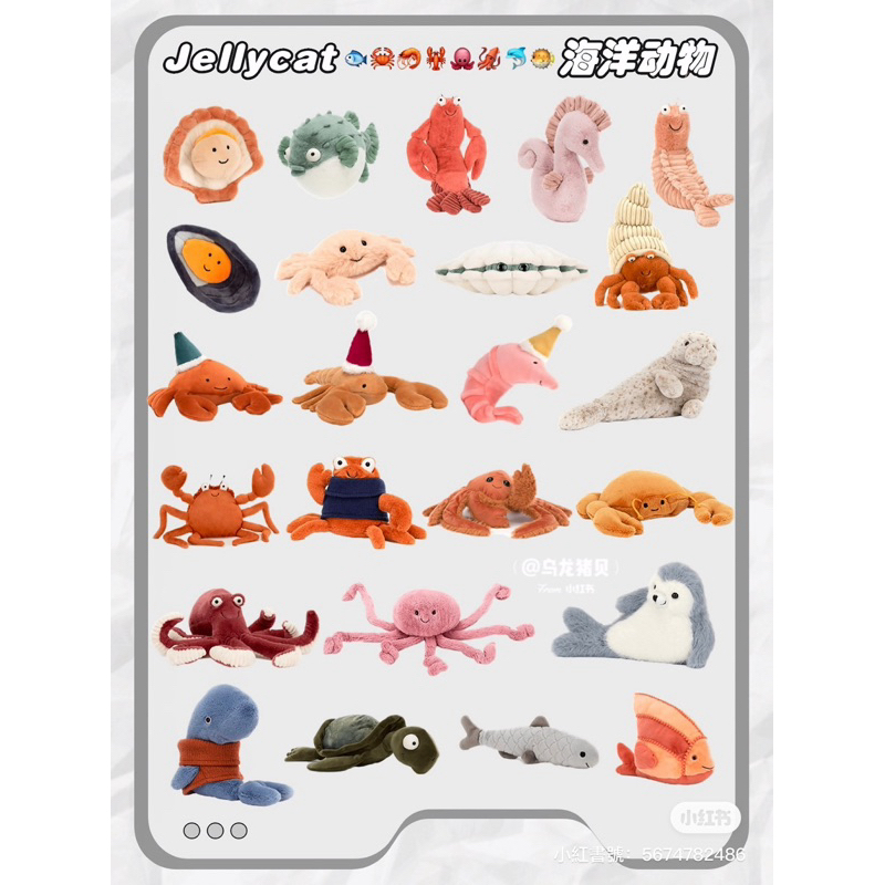 「現貨在台/預購」英國Jellycat 海洋生物 章魚 烏龜 海豚 鯨魚 附發票 商檢合格