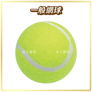 桔子體育🍊 TROPS特波士一般網球 4311 練習網球 練習用網球 學生網球 特波士網球 小絨球