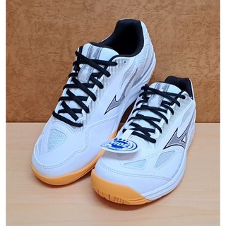 ☆AK☆ 美津濃 MIZUNO 羽球鞋 男女段 SKY BLASTER 3 71GA234521 正品 公司貨 百搭