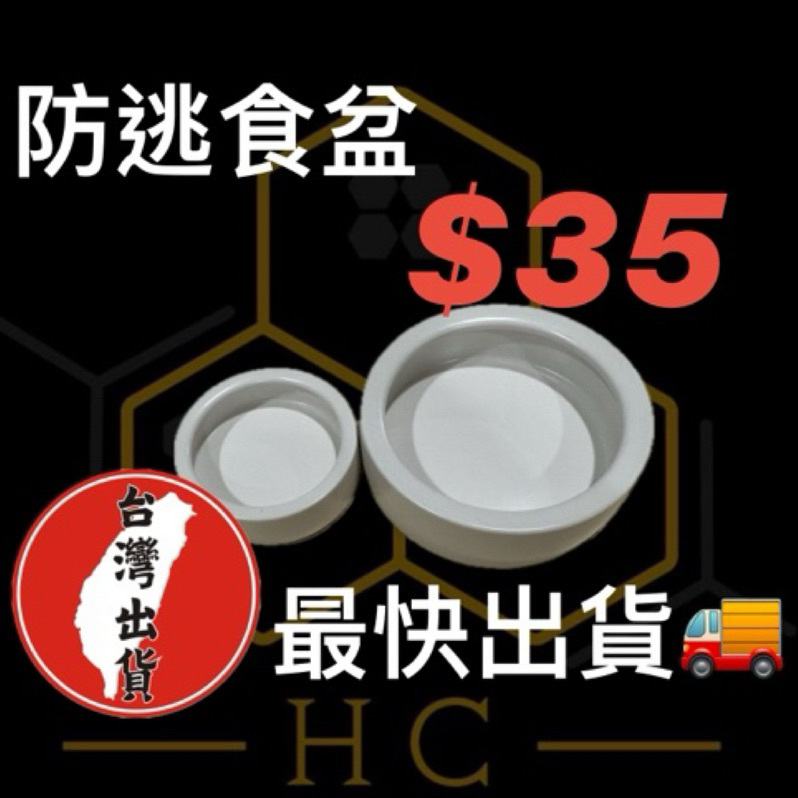 【台灣現貨 最快出貨】爬寵 防逃食盆 餵食盆 爬蟲食盆 守宫食盆 守宮水盆 水盆 食盆陸龜 陶瓷食盆 陸龜食盆 爬蟲水盆