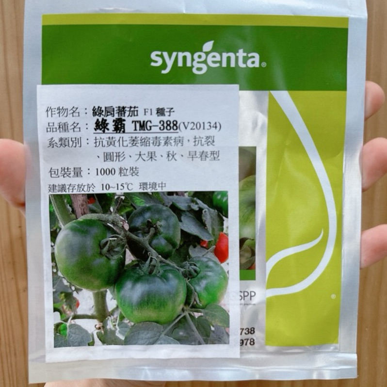 原包裝 1000粒 綠霸番茄種子 一點紅番茄種子 綠霸番茄種子 大番茄種子 綠霸番茄種子 綠肩番茄種子 黑柿番茄種子