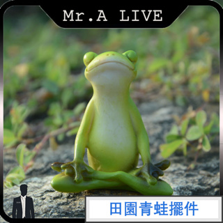 🔥【Mr.A Live】🔥田園青蛙擺件 微景觀擺件 家居裝飾品 桌面辦公室客廳擺件 個性搞笑禮物 療癒擺飾 居家擺飾
