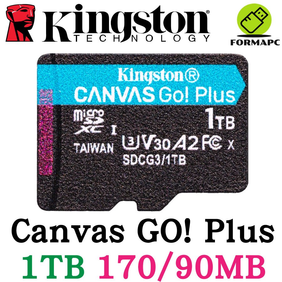 Kingston 金士頓 Canvas GO! Plus microSDXC 1T 1TB SDCG3 記憶卡