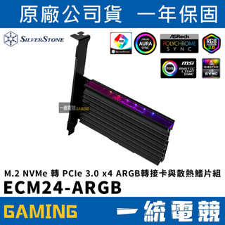 【一統電競】銀欣 ECM24-ARGB M.2 NVMe 轉 PCIe 3.0 x4 ARGB轉接卡與散熱鰭片組