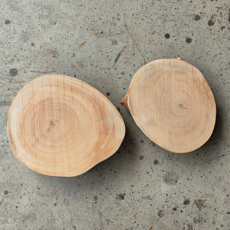 [鋸紋年輪片21~30CM]桃花心木 原木年輪 雙面砂磨 質感創作 木杯墊