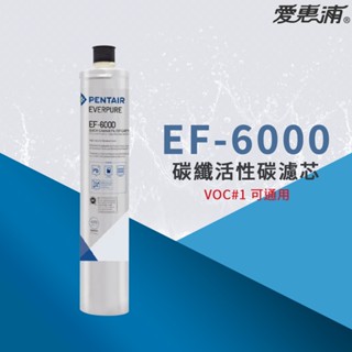 【思維康SWEETCOM】美國原廠愛惠浦 EVERPURE PURVIVE-EF-6000 碳纖活性碳濾芯 替代VOC