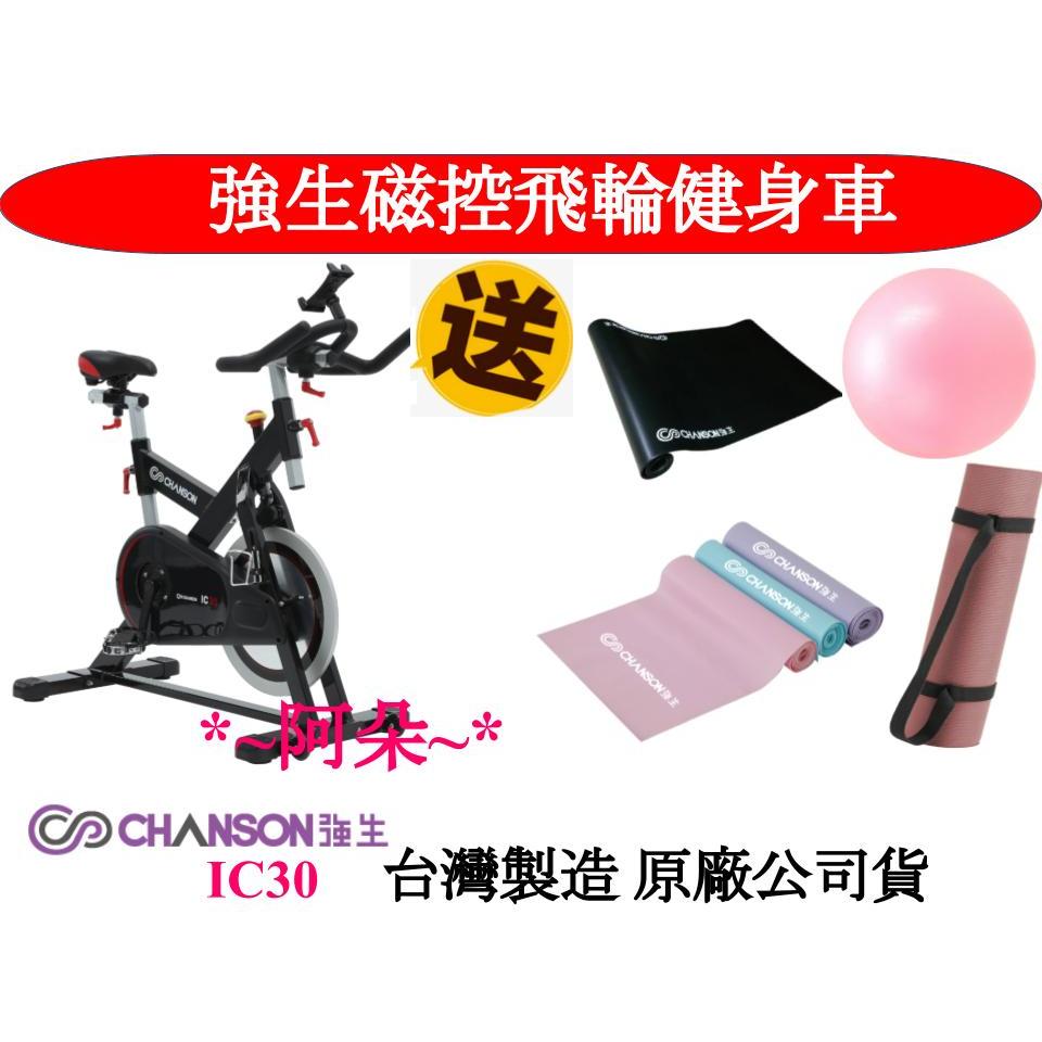 蝦幣10% 母親節優惠全新 強生CHANSON IC30 磁控飛輪健身車 贈地墊+瑜珈伸展套組 分期 室內腳踏車