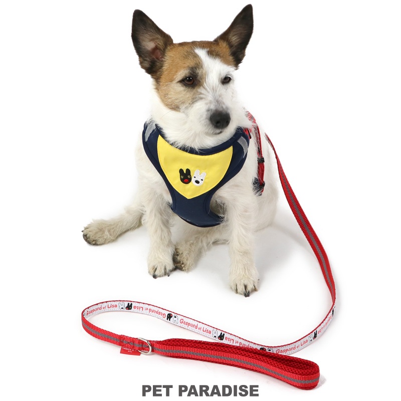【PET PARADISE】寵物外出胸背/附牽繩 (3S/SS)｜Gaspard et Lisa 2024熱銷款