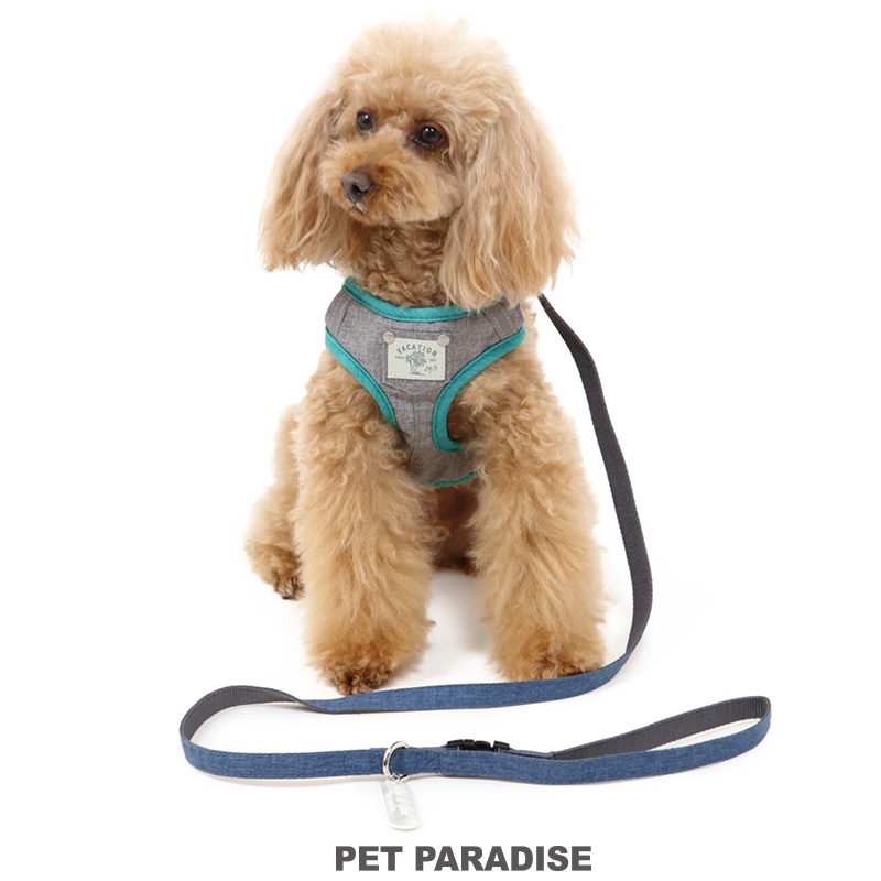 【PET PARADISE】寵物外出胸背/附牽繩 (S)｜PP 2024熱銷款