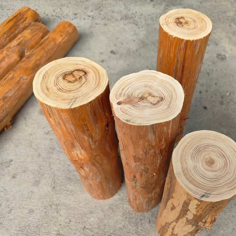 [原木柱7.5-9CM] 柳杉圓木柱 景觀擺設 初步去皮原木風味
