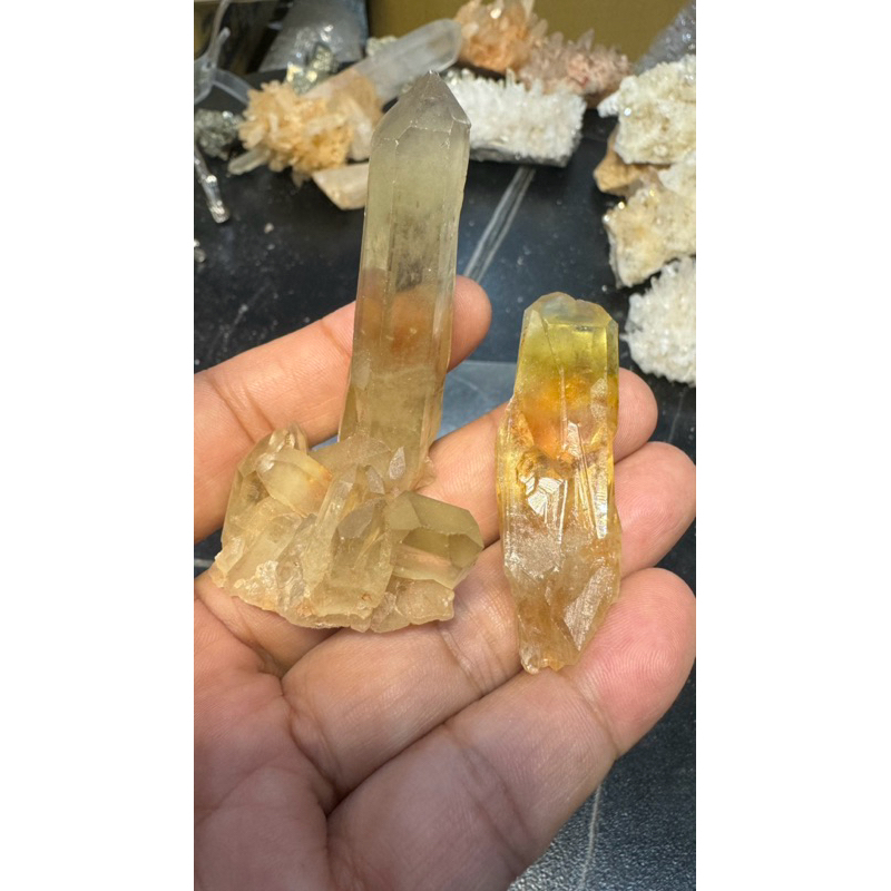 B106 特價 單牙 黃水晶 黃水晶柱 晶簇 隨便賣 原礦 A