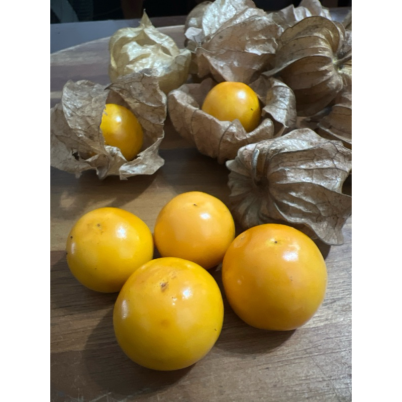 【溪·園】日本黃金莓（大果）～燈龍果一台斤350元【近日豪雨，下單請等好天氣】