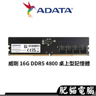 ADATA威剛 16G DDR5 4800 桌上型/記憶體