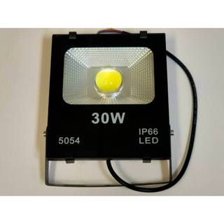 [諾亞節能] 30W+魚眼透鏡(不炫光) LED投射燈 3000流明 LED燈泡 正白光