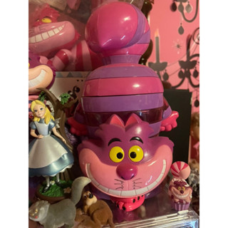 迪士尼樂園日本東京限定絕版 妙妙貓 愛麗絲夢遊仙境 水壺 野獸國 柴郡貓 笑笑貓 妙貓 早期絕版古董