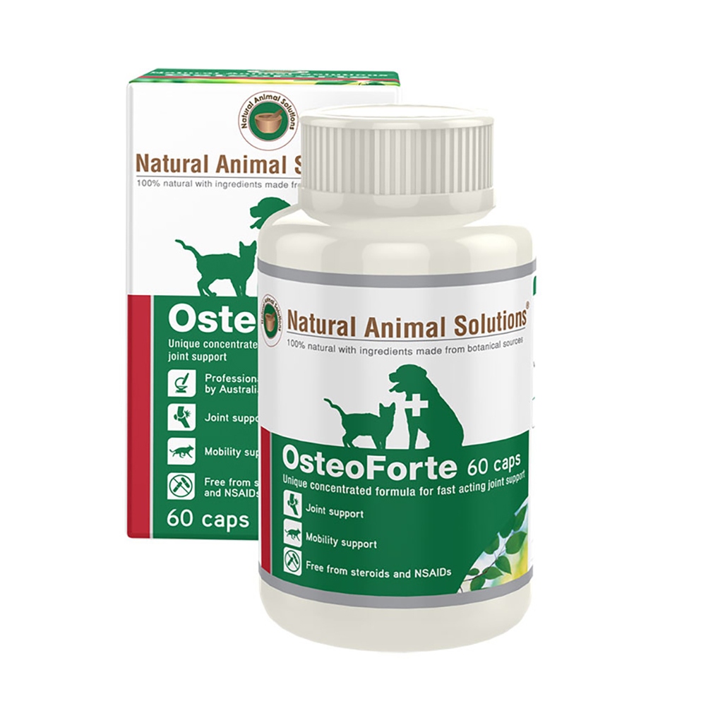 NAS天然草本保健_Osteo Forte 關節強效 高齡 60錠 犬貓用 不分年齡