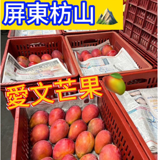 免運費 芒果 屏東枋山愛文芒果 每箱均為10臺斤 免運費 外銷A果 愛文芒果