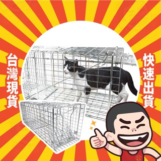 折疊式誘捕籠 誘捕籠 捕貓籠 抓貓 貓誘捕籠 大型誘捕籠 捕貓神器 捕狗籠 貓咪誘捕籠 折疊籠 誘捕籠 貓 T