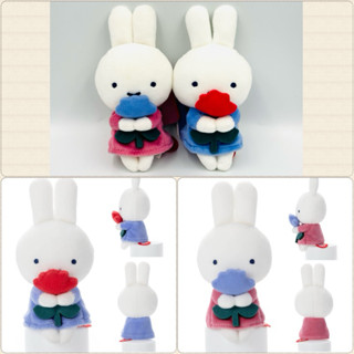 現貨 日本最新帶回 chokkorisan 米菲兔 2024 Miffy and Rose坐姿娃娃 網美拍照小道具