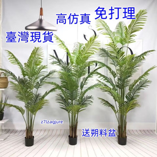 臺灣現貨 免運 散尾葵 蓮心葵 貴妃葵 北歐落地盆栽家居綠植 超擬真仿真植物 假樹 仿真植物 假植物 假盆栽