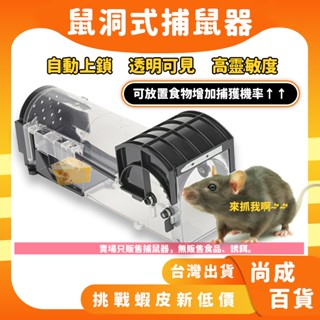 🚀蝦店隔日到貨🔥鼠洞式捕鼠器 自動捕鼠器 捕鼠 捕鼠籠 抓老鼠 捕鼠神器 滅鼠 驅鼠 老鼠籠 老鼠夾 補鼠器