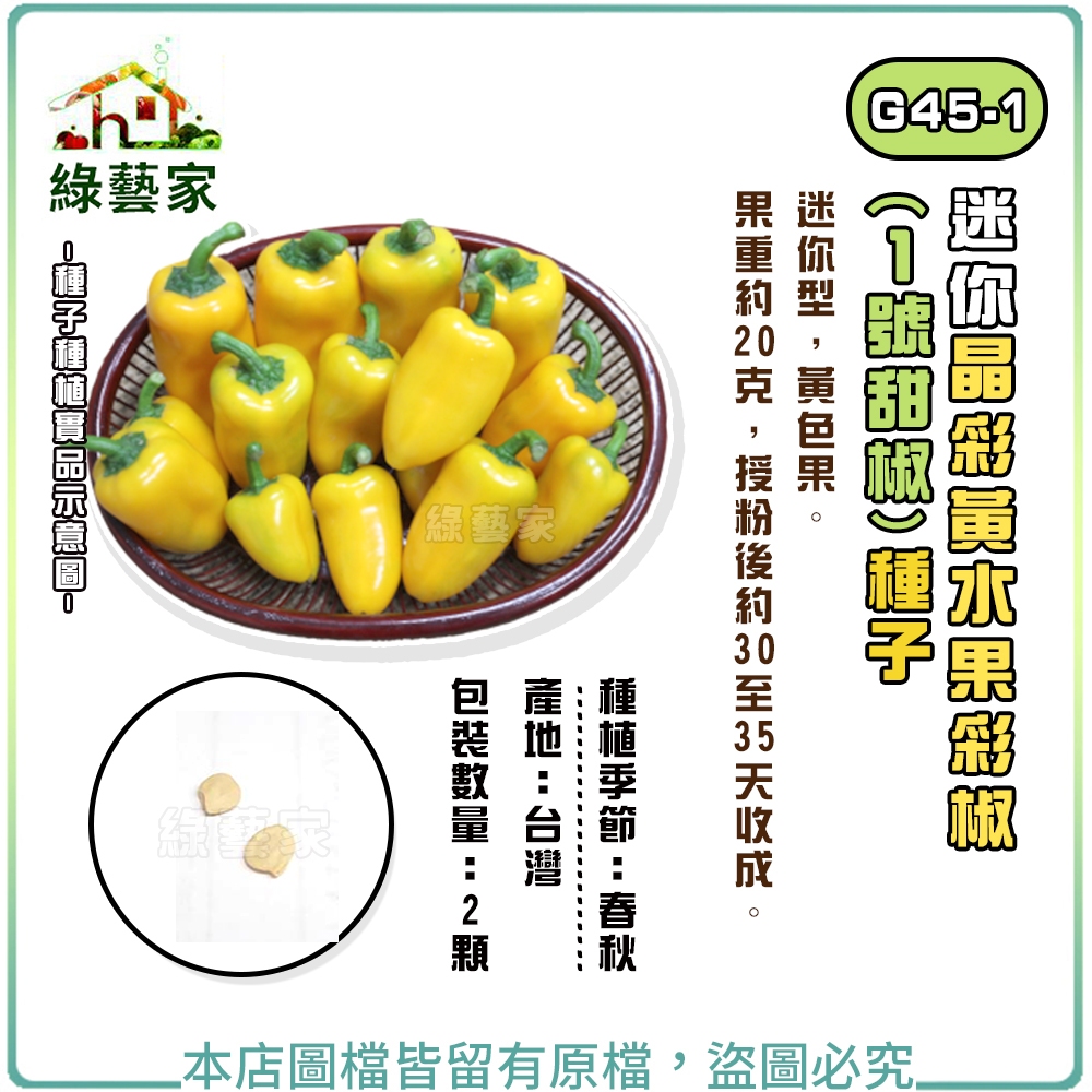 【綠藝家】G45-1.迷你晶彩黃水果彩椒(1號甜椒)種子2顆 // 迷你型，黃色果，果重約20g  果菜類種子