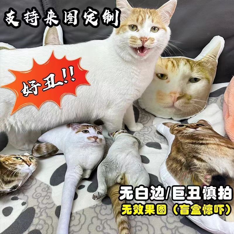 客製 醜貓抱枕 異形寵物枕頭 無白邊 貓狗靠枕 來圖定制 印真人照片定做禮物 雙面印圖