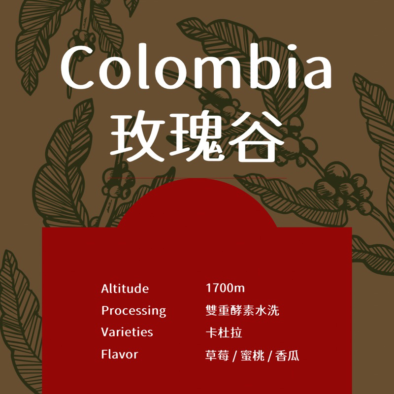 宥豆國際咖啡生豆｜哥倫比亞 茱莉亞莊園 玫瑰谷 雙重酵素水洗 生豆500克