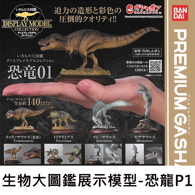 生物大圖鑑 展示模型 恐龍 P1 扭蛋 轉蛋 恐龍模型 動物模型 BANDAI 萬代
