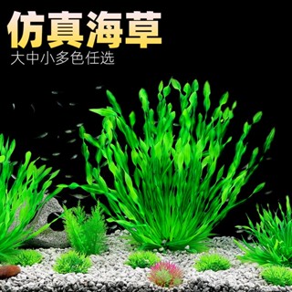 魚缸後景水草 模擬水草 水族箱裝飾 植物花草 假水草 水族造景裝飾