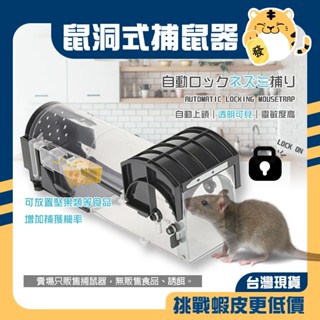 🚚蝦店隔日速達🔥鼠洞式捕鼠器 捕鼠器 捕鼠籠 老鼠籠 老鼠夾 捕獸籠 滅鼠 驅鼠 抓老鼠 老鼠 捕鼠 mouse