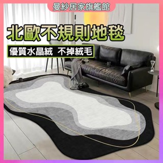 不規則地毯 異形地毯 地毯 地墊 輕奢現代簡約地毯 客廳地毯 臥室沙發地毯 茶幾地毯 床邊地毯 入戶毯 吸水防滑耐臟機洗