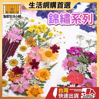 錦繡系列 壓花 壓花書籤 壓花材料包 乾燥花書籤 乾燥壓花 書籤DIY 押花 壓花材料 壓花DIY 樹葉書籤 乾燥花