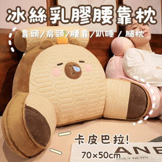 70X50 CM卡皮巴拉靠枕 冰絲乳膠沙發靠枕 靠墊 靠腰墊 靠背枕 靠腰枕 靠背墊 靠墊 三角靠墊 抱枕 軟包大靠背
