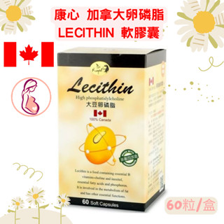 多件優惠📌免運&康心加拿大卵磷脂LECITHIN 軟膠囊(60粒/盒)原廠公司貨