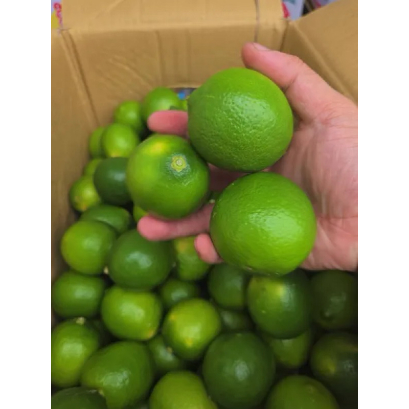 【仙菓園 現貨】🇹🇼 產銷履歷無籽檸檬🍋一斤價