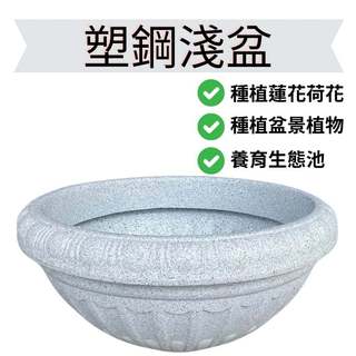 【醬米資材899免運】塑鋼盆 塑鋼淺盆 蓮花淺盆 強化花盆 水泥盆 強化塑鋼盆 魚缸 蓮花盆 荷花盆 超耐用花盆