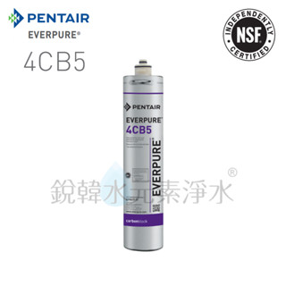 【愛惠浦】EVERPURE 4CB5 原廠公司貨 碳棒配方 濾心 銳韓水元素淨水