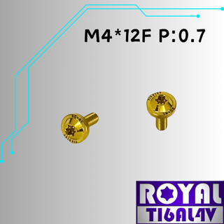 【瘋螺絲】ROYAL 鈦合金螺絲★ M4*12F 飛碟頭螺絲★64鈦/正鈦/鈦合金螺絲★出貨附發票★土豪金