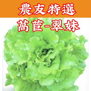 萵苣【農友種苗】農友種苗 萵苣-翠妹(特選種子) 蔬菜種子 每包約12公克(g) 保證新鮮種子
