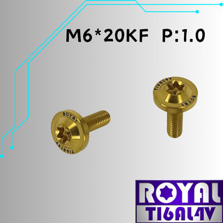 【瘋螺絲】ROYAL 鈦合金螺絲★M6*20KF P:1.0 大飛碟頭螺絲★64鈦/正鈦/鈦合金螺絲★出貨附發票★土豪金
