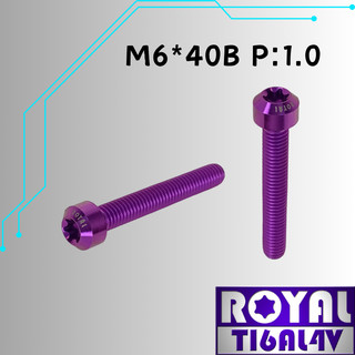【瘋螺絲】ROYAL 鈦合金螺絲★ M6*40B P:1.0 錐形螺絲★ 64鈦/正鈦/鈦合金螺絲★出貨附發票★皇家紫