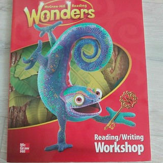 Wonders McGraw-Hill Reading 1v2 workshop