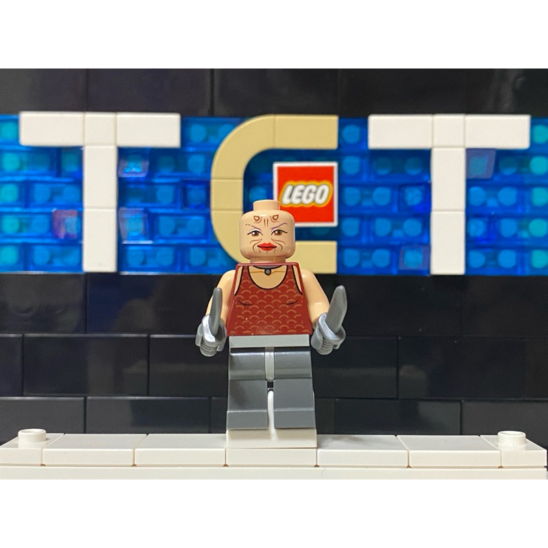 【TCT】樂高 LEGO STAR WARS 星戰系列 星際大戰 人偶 7930 SW0305
